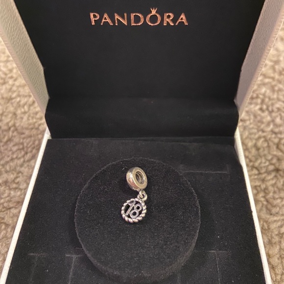 Assorted Pandora Charms - Picture 6 of 7